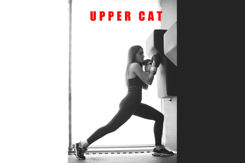 9. İstasyon: Upper Cat